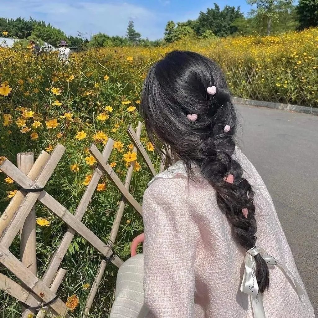 青云志