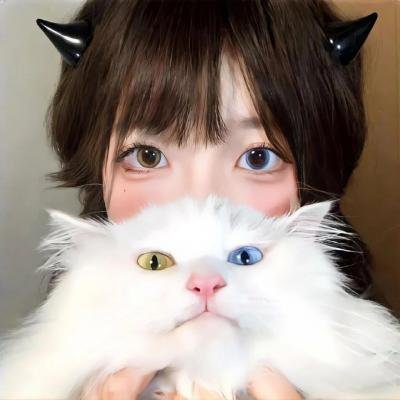 盗贼生涯