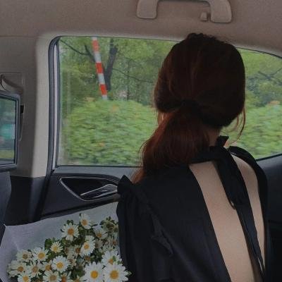 藏海花之暗巢汹涌